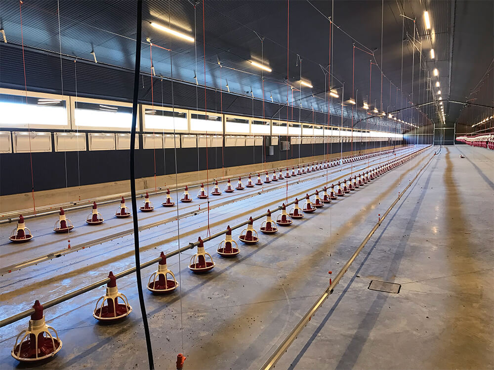 Chair-standard-France7